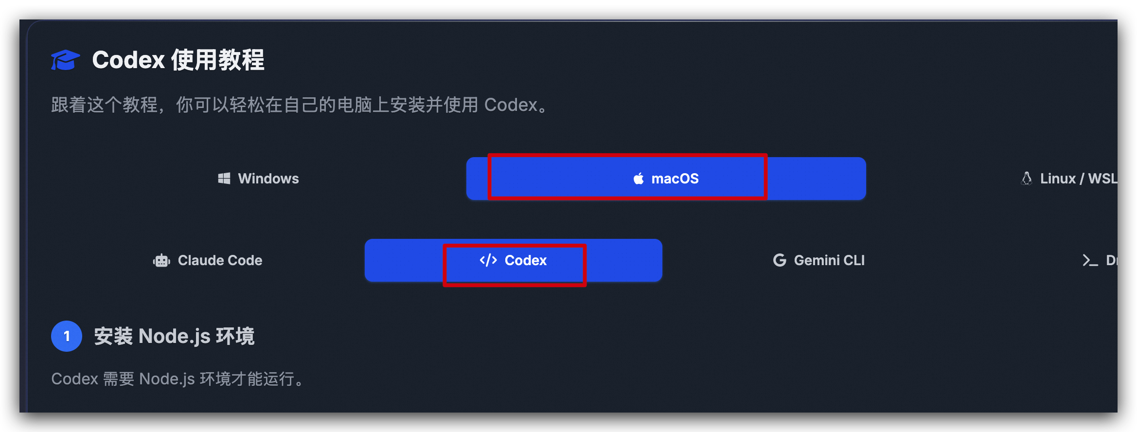 Codex 使用教程封面